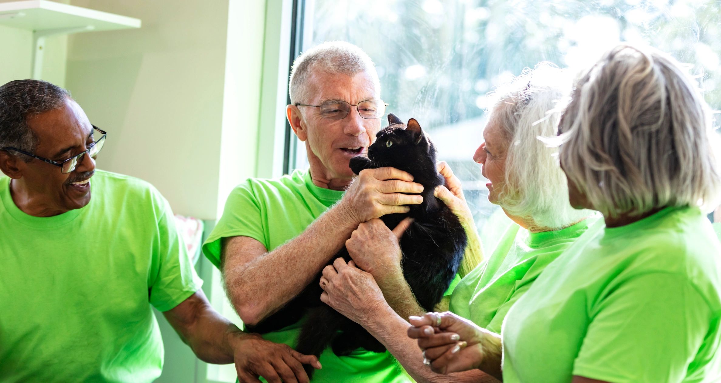Volunteers at a pet shelter spending time with a rescued cat