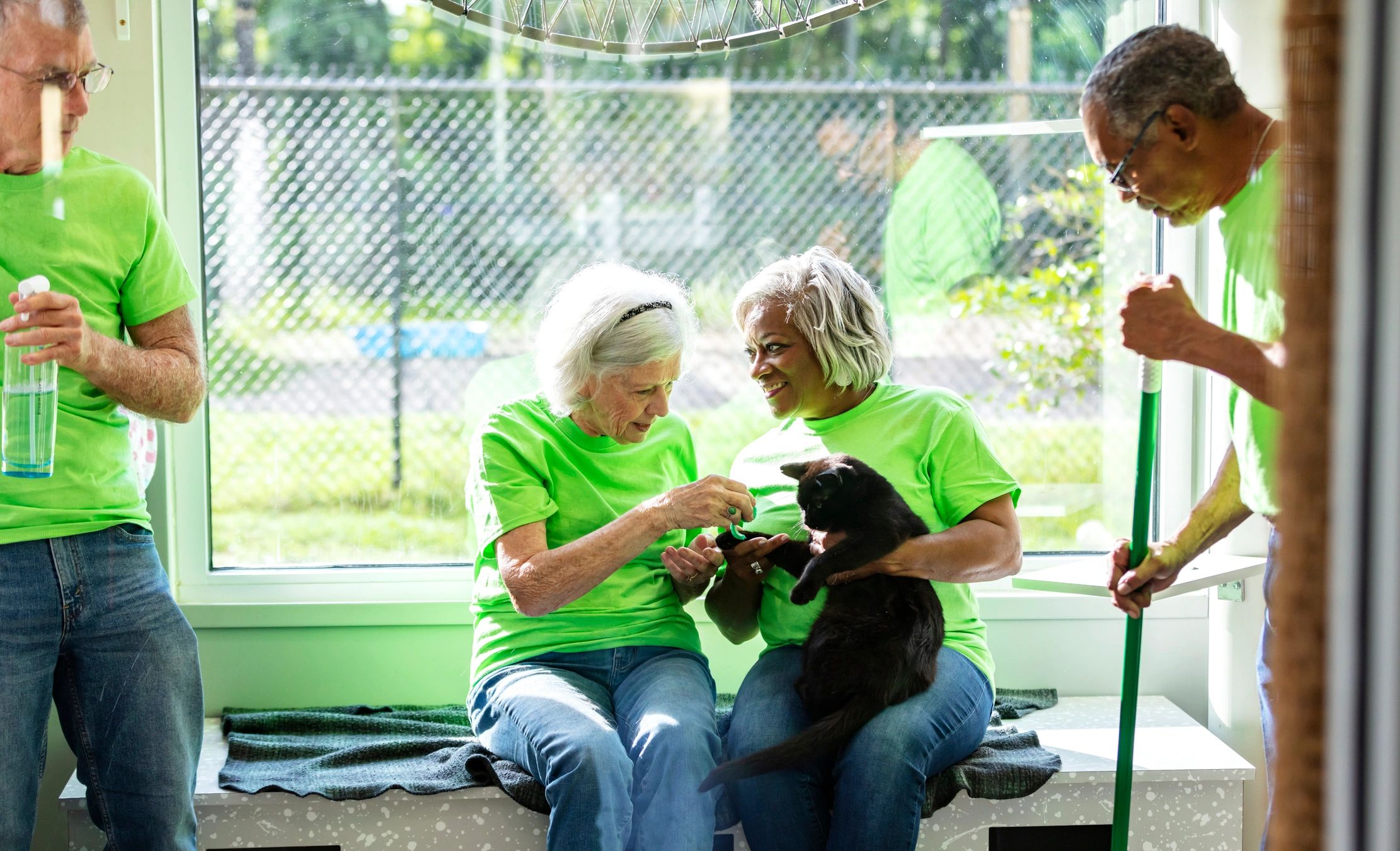 Senior volunteers at a pet shelter playing with a rescued cat