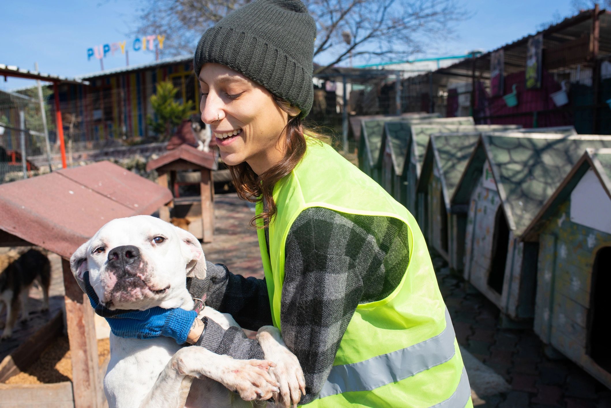 Animal shelter volunteer caring for dog