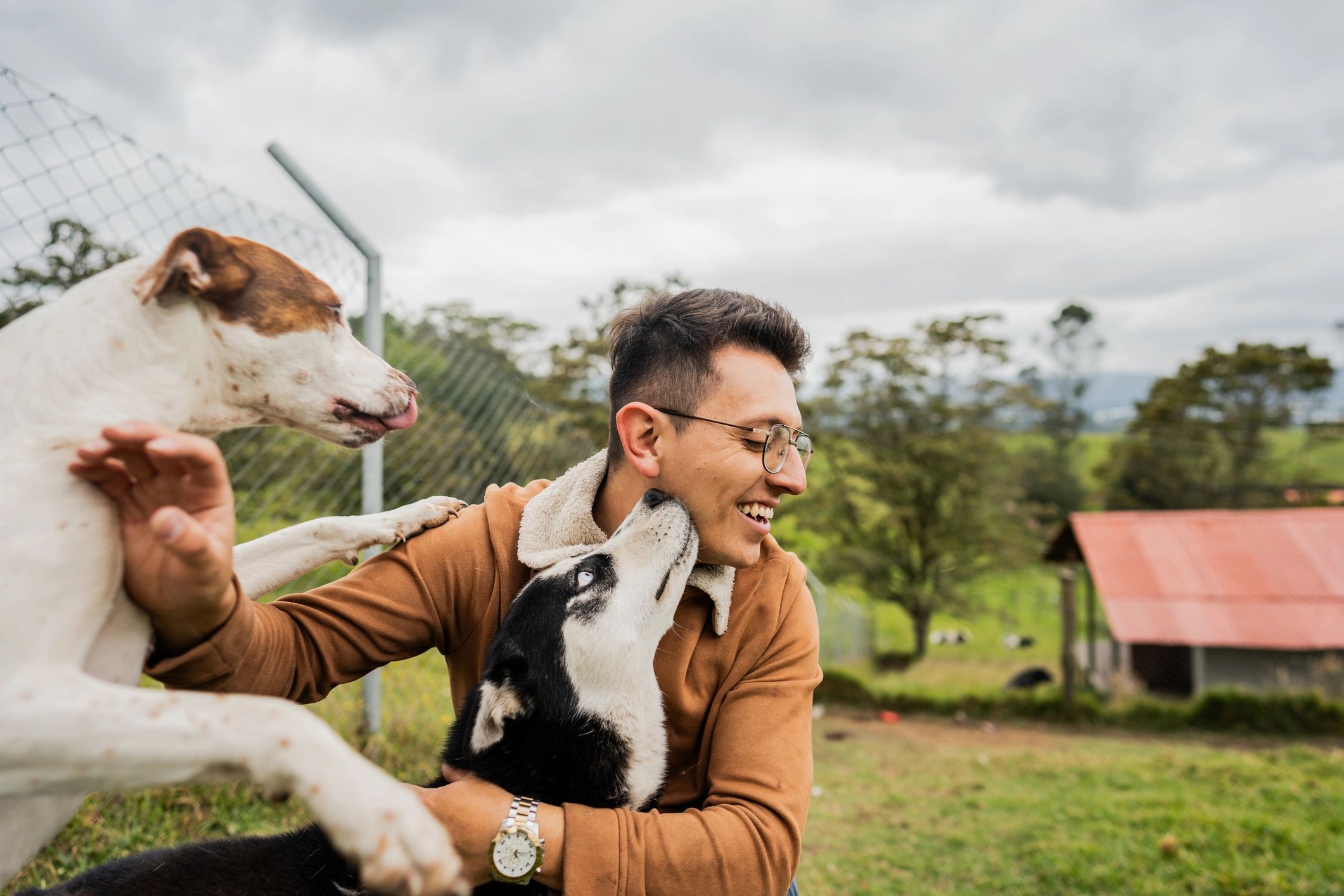 Man playing with dogs at an animal shelter